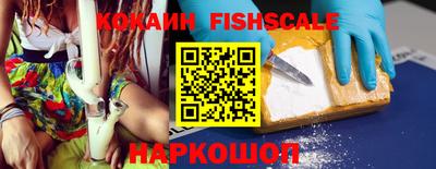 гидропоника Камышлов