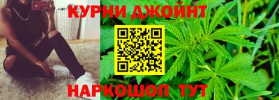 гидропоника Камышлов