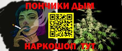 гидропоника Камышлов