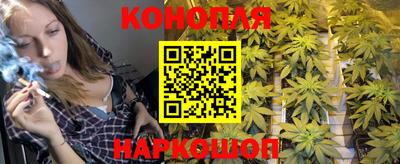 индика Берёзовский