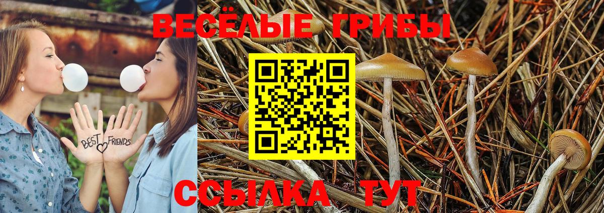 Галлюциногенные грибы ЛСД Нововоронеж