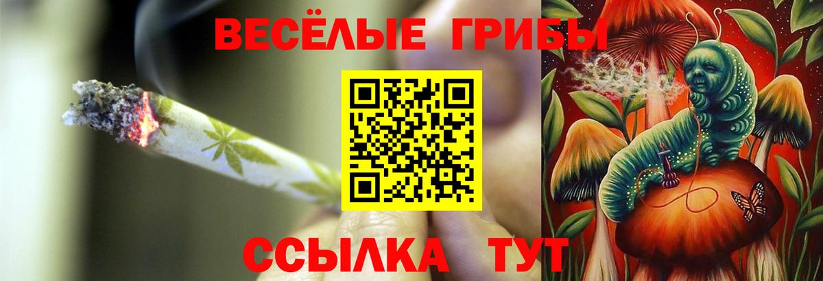 Галлюциногенные грибы мухоморы  Вход с VPN  Псилоцибиновые грибы MAGIC MUSHROOMS  Нововоронеж 